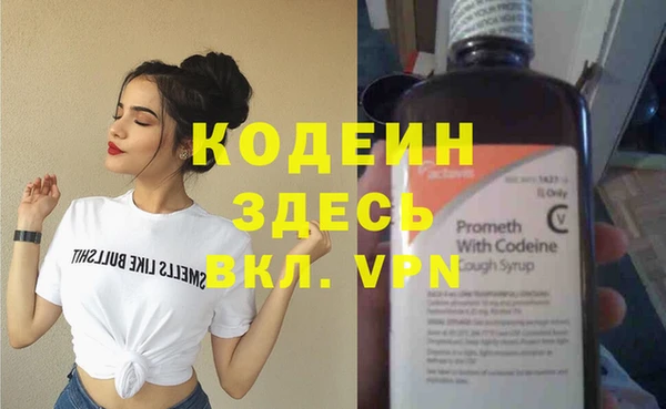 шишки Заволжск