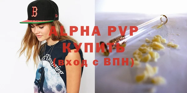 шишки Заволжск