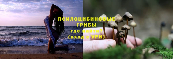 хмурый Заводоуковск