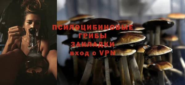 первитин Заволжье