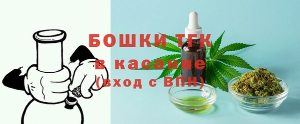 шишки Заволжск