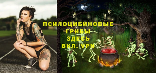 первитин Заволжье