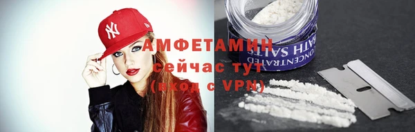шишки Заволжск
