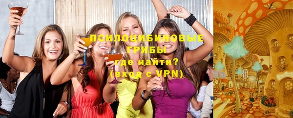 хмурый Заводоуковск