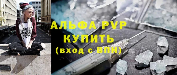 шишки Заволжск