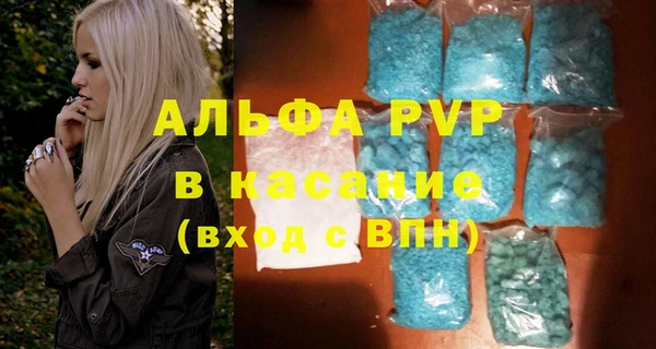 шишки Заволжск