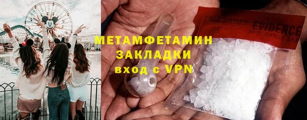 шишки Заволжск