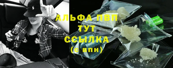 шишки Заволжск