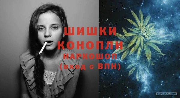 шишки Заволжск