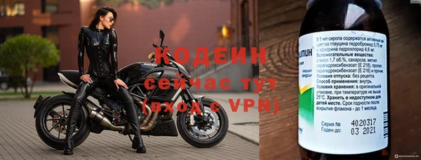 шишки Заволжск
