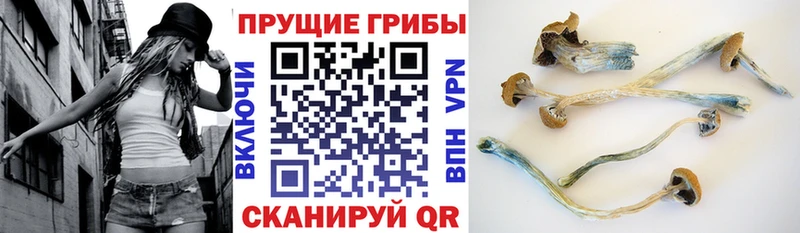 Купить закладки  Унеча  Галлюциногенные грибы мухоморы 