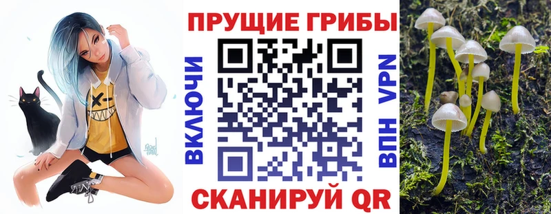 Галлюциногенные грибы мухоморы Унеча